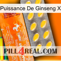 Ginseng Power X new05
